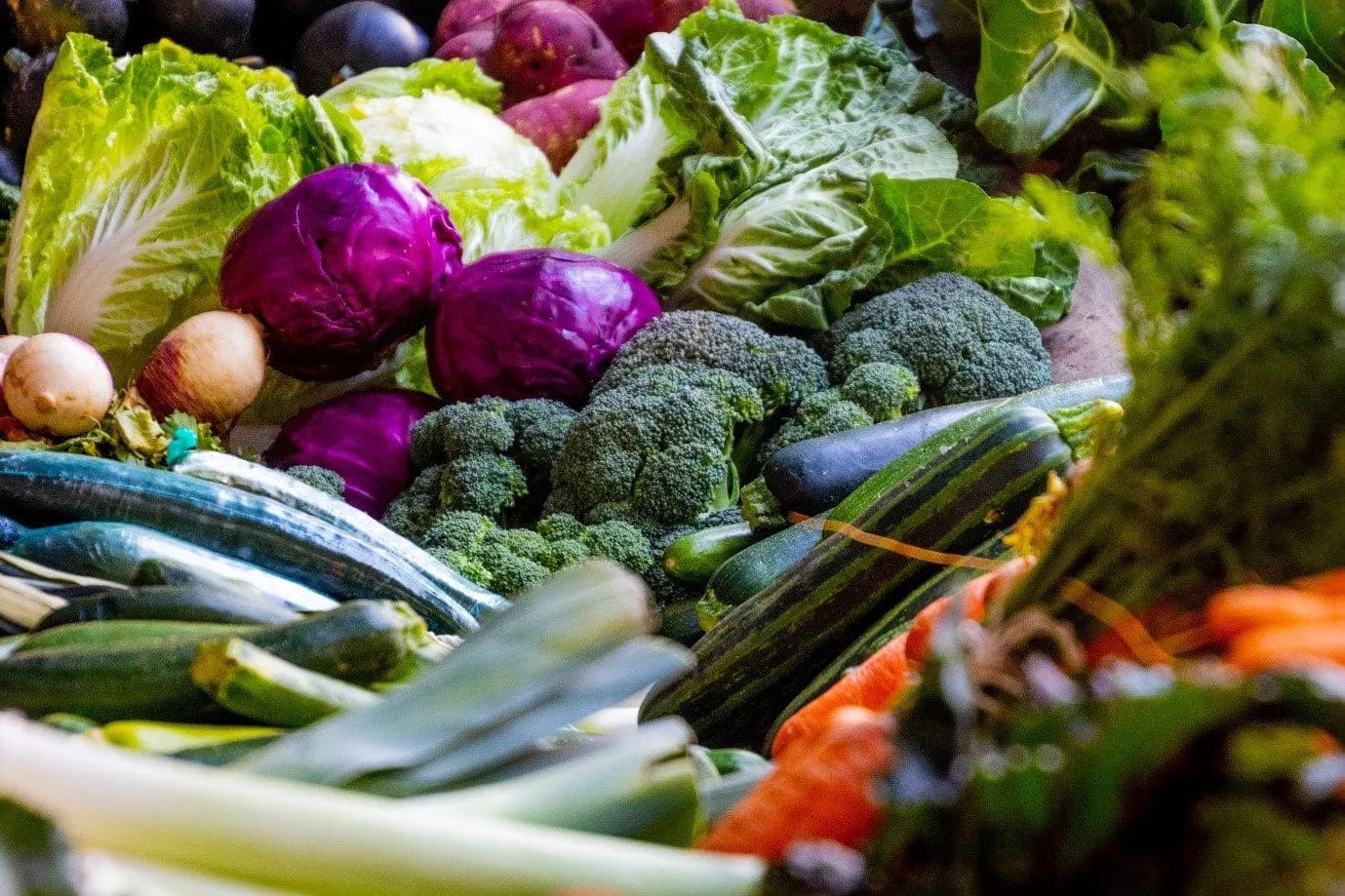 Top Tips to Keep Your Family's Eyes Healthy
